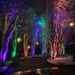 img_1770434344076.jpg