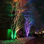 img_1770434220167.jpg
