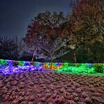 img_1770433946465.jpg