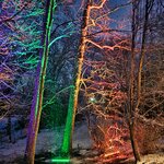 img_1770433921278.jpg