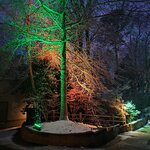 img_1770433826940.jpg
