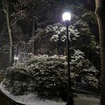 img_1770434570833.jpg