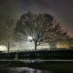 img_1770434602848.jpg