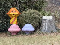 IMG_0395.jpeg