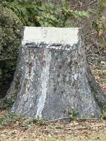IMG_0396.jpeg