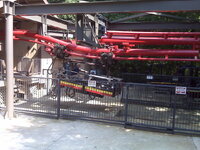 IMG_1128.jpeg