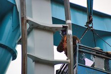 img_1772833613086.jpg