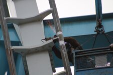 img_1772833595237.jpg