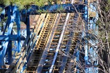 img_1774232572116.jpg