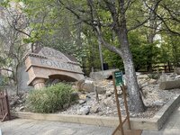 IMG_3222.jpeg