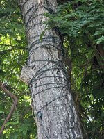 20260508_145549.jpg