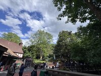 IMG_5616.jpeg