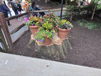 IMG_5614.jpeg