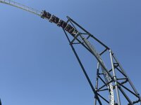 IMG_9320.jpeg