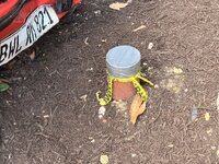 IMG_5528.JPG