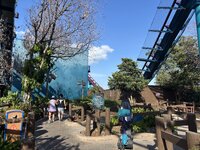 IMG_7074.jpeg
