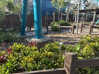 IMG_7076.jpeg
