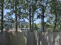 IMG_7284.jpeg