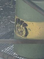 IMG_6100.jpeg