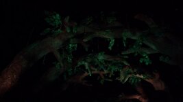 GX010126(10).jpg