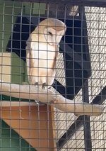 IMG_2853.jpeg