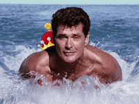 IMG_6576.gif