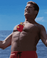 david-hasselhoff-pecs.gif
