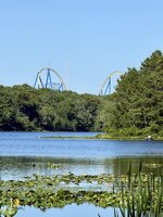 IMG_4953.jpeg