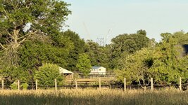 IMG_4954.jpeg