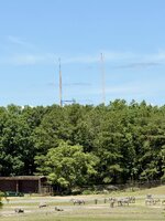 IMG_4951.jpeg
