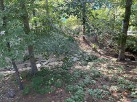 IMG_6436.jpeg