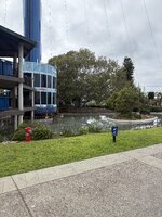 IMG_1258.jpeg