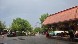 5481.jpg