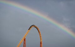 IMG_1793.jpg