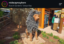 1000002980.png
