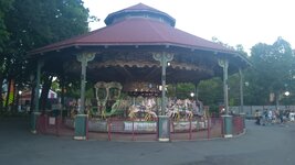 IMG_20260805_200736_1.jpg