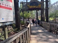 IMG_7867.jpeg