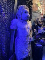 IMG_5873.jpeg