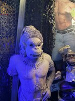 IMG_5874.jpeg