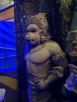 IMG_5875.jpeg