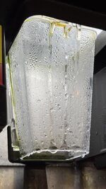 IMG_0704.jpeg