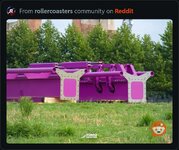 IMG_4500.jpeg