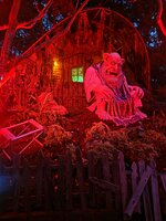 20260911_193727.jpg