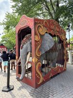 IMG_5515.jpg