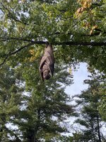 IMG_6924.jpeg