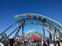 IMG_20261014_121459137.jpg