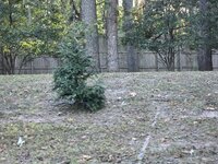 20261022_170333.jpg