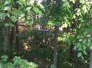 IMG_20110515_165801.jpg
