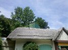 IMG_20110603_110130.jpg