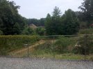 IMG_20110611_122547.jpg